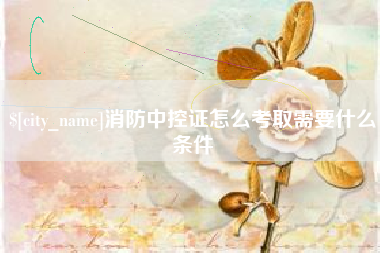 广西消防中控证怎么考取需要什么条件