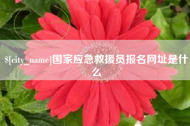 广西国家应急救援员报名网址是什么