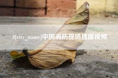 广西中国消防现场直播视频