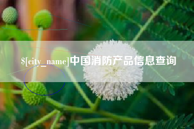 广西中国消防产品信息查询