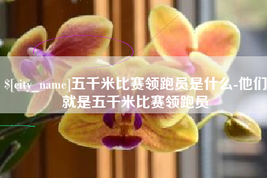 广西五千米比赛领跑员是什么-他们就是五千米比赛领跑员