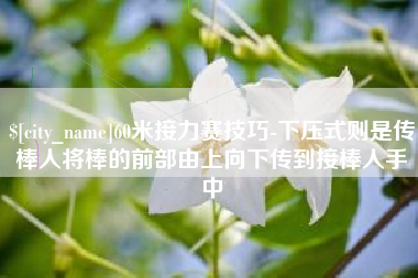 广西60米接力赛技巧-下压式则是传棒人将棒的前部由上向下传到接棒人手中