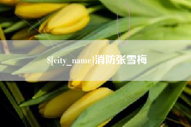 广西消防张雪梅