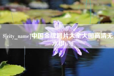 广西中国金牌图片大全大图高清无水印