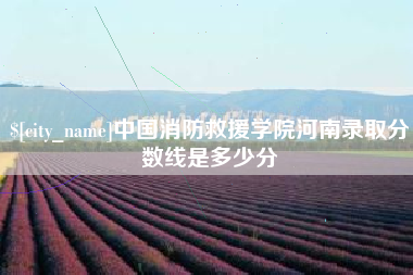 广西中国消防救援学院河南录取分数线是多少分