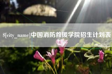 广西中国消防救援学院招生计划表