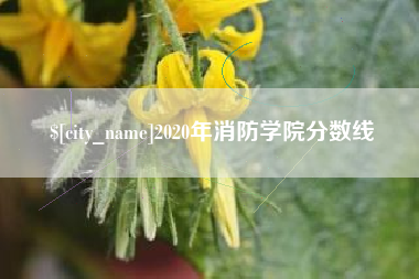 广西2020年消防学院分数线