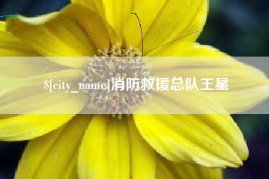 广西消防救援总队王星