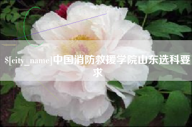 广西中国消防救援学院山东选科要求