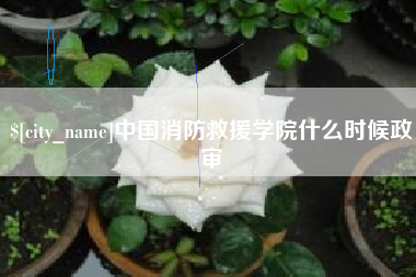广西中国消防救援学院什么时候政审