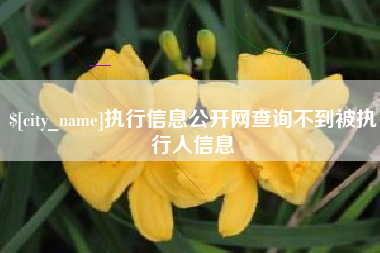 广西执行信息公开网查询不到被执行人信息