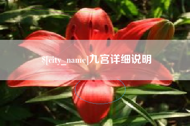 广西九宫详细说明