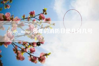 广西每年的消防日是几月几号
