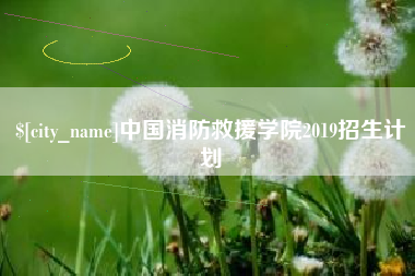 广西中国消防救援学院2019招生计划