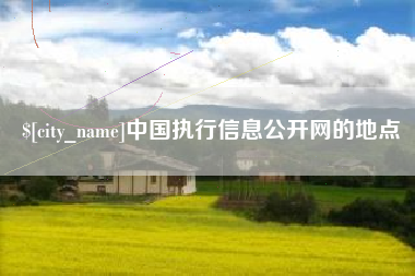 广西中国执行信息公开网的地点