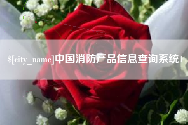 广西中国消防产品信息查询系统1