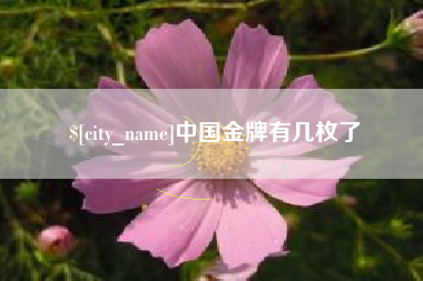 广西中国金牌有几枚了