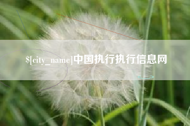 广西中国执行执行信息网