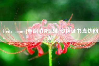 广西查询消防职业资格证书真伪网站