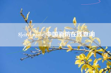 广西中国消防在线查询