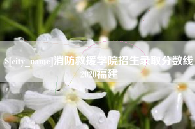 广西消防救援学院招生录取分数线2020福建