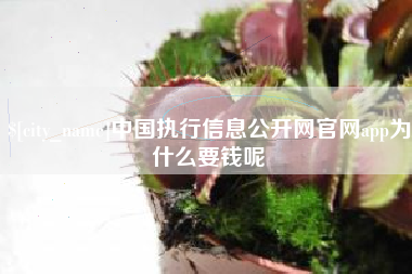 广西中国执行信息公开网官网app为什么要钱呢
