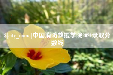 广西中国消防救援学院2021录取分数线