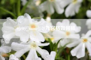 广西579九宫格如何排