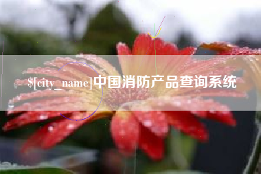 广西中国消防产品查询系统