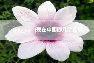 广西现在中国哪几个金牌