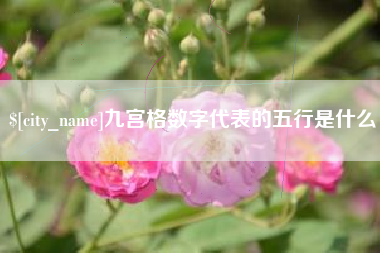 广西九宫格数字代表的五行是什么