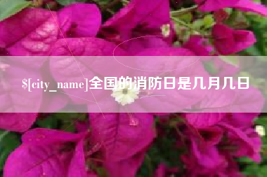 广西全国的消防日是几月几日
