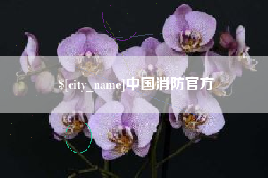 广西中国消防官方
