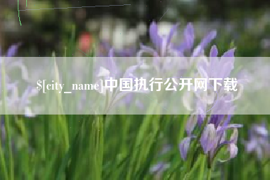 广西中国执行公开网下载