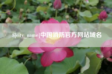 广西中国消防官方网站域名