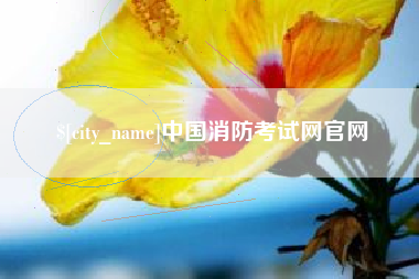 广西中国消防考试网官网