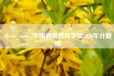 广西中国消防救援学院2020年分数线