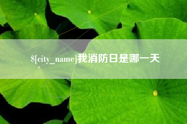 广西我消防日是哪一天