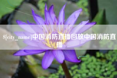 广西中国消防直播回放中国消防直播