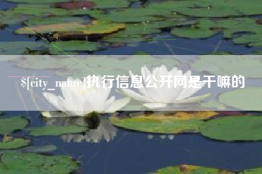 广西执行信息公开网是干嘛的