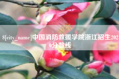 广西中国消防救援学院浙江招生2020分数线