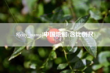 广西中国地图(含比例尺)