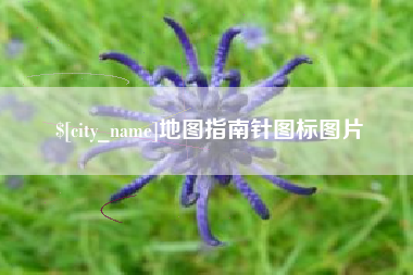 广西地图指南针图标图片