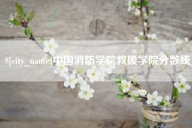 广西中国消防学院救援学院分数线