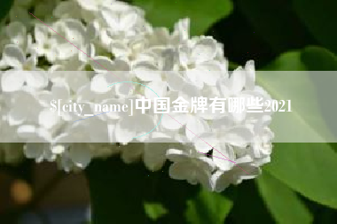 广西中国金牌有哪些2021