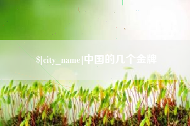 广西中国的几个金牌