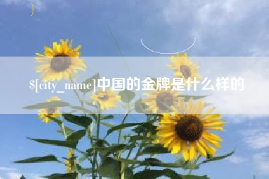 广西中国的金牌是什么样的