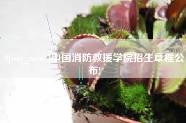广西中国消防救援学院招生章程公布!