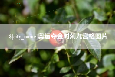 广西奥运夺金时刻九宫格图片