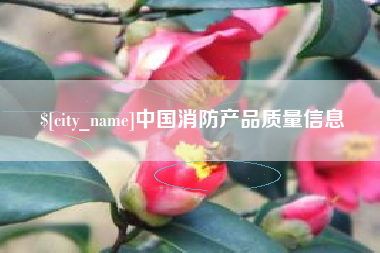 广西中国消防产品质量信息